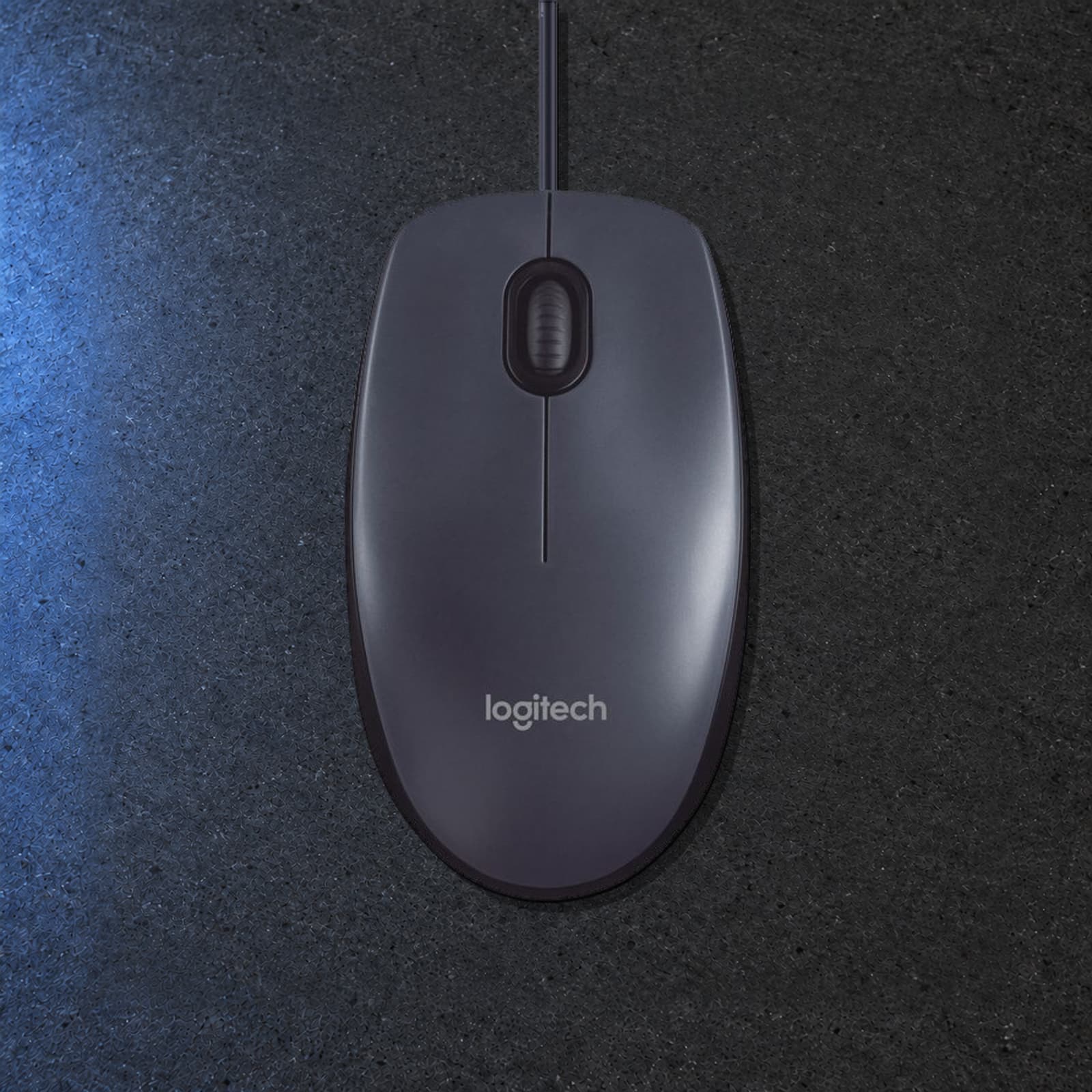 Logitech B100